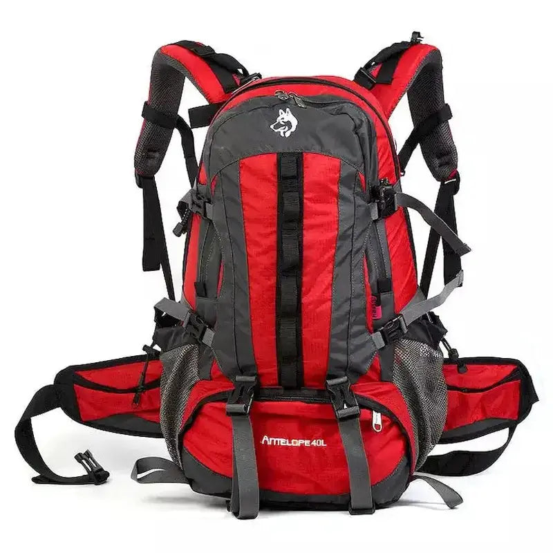 1_2da03f7f-f309-417e-9a6b-f2f554419371.jpg - SAC A DOS VALISE