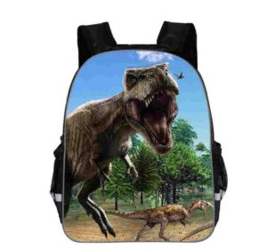 H6d0e87aca0d146739724310b71194a4as.jpg Sac à dos Vélociraptors