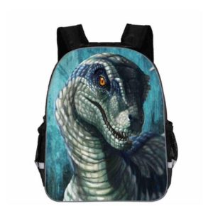H6fe1777782604769a4d2222794725b22U.jpg Sac à dos dinosaure ado