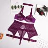 corset-porte-jarretelles-et-string-violet.jpg Corset Porte-jarretelles <br> Avec string