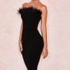 Robe Bustier <br> Plume
